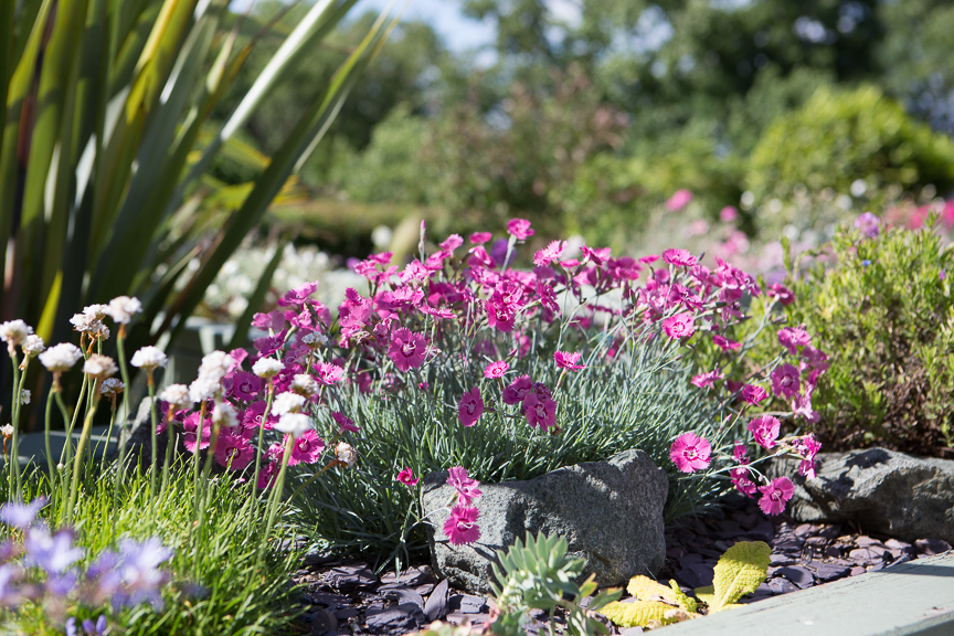 Hospice of St Francis Berkhamsted Gardens