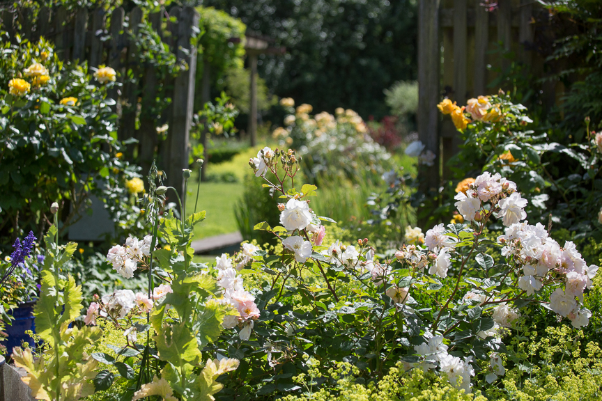 Hospice of St Francis Berkhamsted Gardens